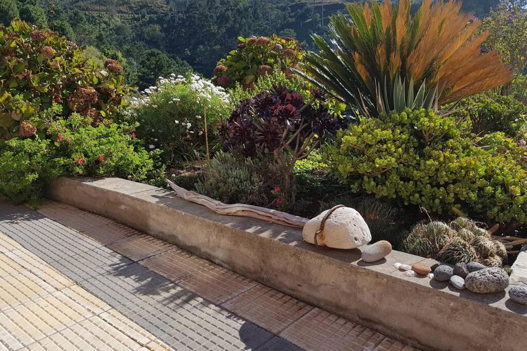 Raposeira De Sao Joao, The Feeling Of Peace, Space And Quiet, Whole Villa Is Yours Fajã da Ovelha Екстериор снимка