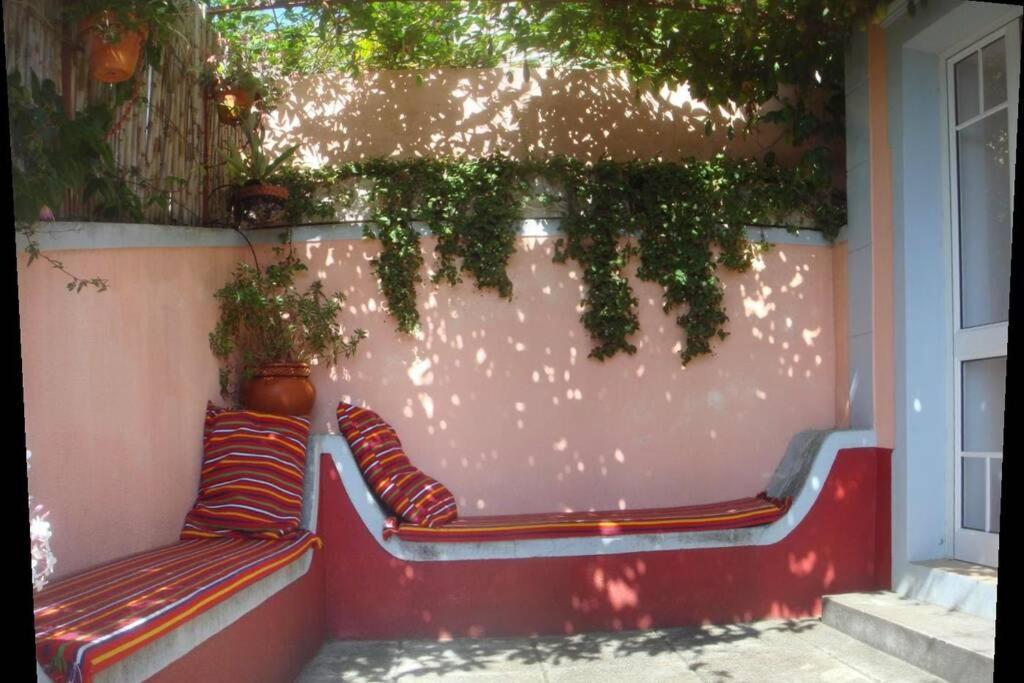 Raposeira De Sao Joao, The Feeling Of Peace, Space And Quiet, Whole Villa Is Yours Fajã da Ovelha Екстериор снимка