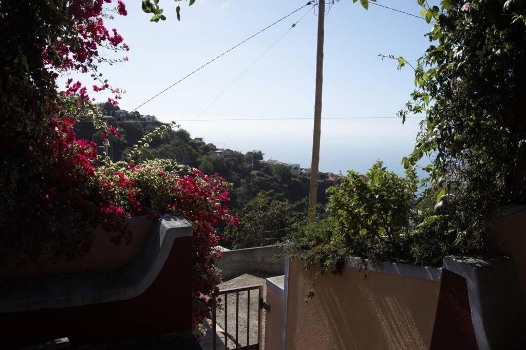 Raposeira De Sao Joao, The Feeling Of Peace, Space And Quiet, Whole Villa Is Yours Fajã da Ovelha Екстериор снимка